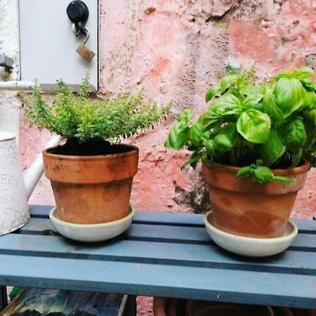La Casa Di Mo Villa Albisola Superiore Luaran gambar