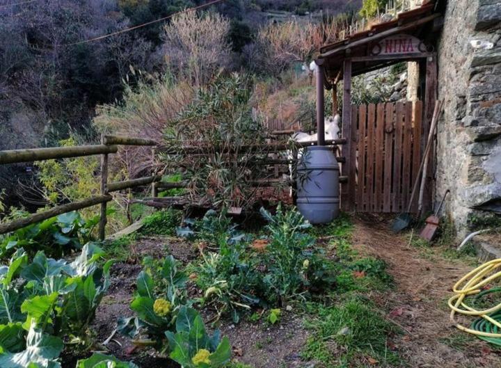 La Casa Di Mo Villa Albisola Superiore Luaran gambar